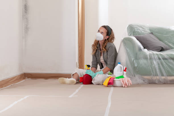 Reliable Mold Remediation contractor in Forest Park, IL by WQB Mold Removal